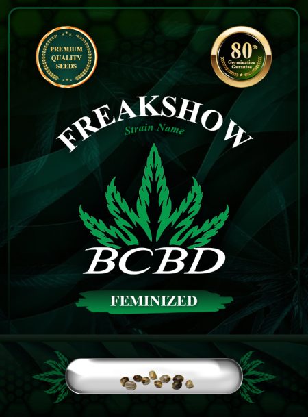 Freakshow Strain Feminized