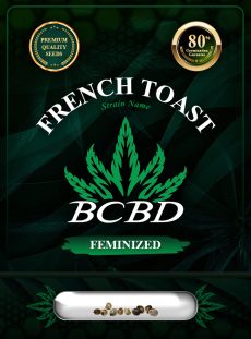 French Toast Strain Feminized