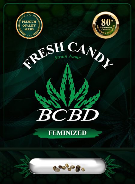 Fresh Candy Strain Feminized
