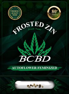 Frosted Zin Strain Autoflowering