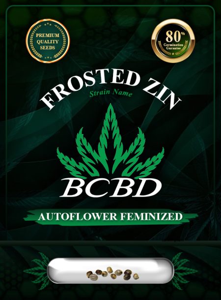 Frosted Zin Strain Autoflowering
