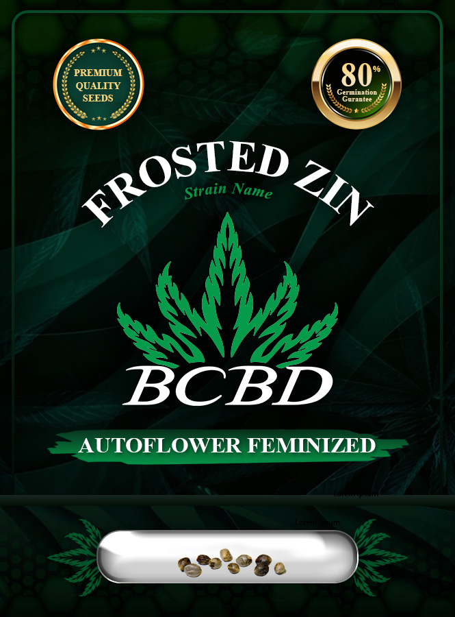 Frosted Zin Strain Autoflowering Marijuana Seeds