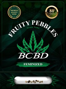 Fruity Pebbles Strain Feminized