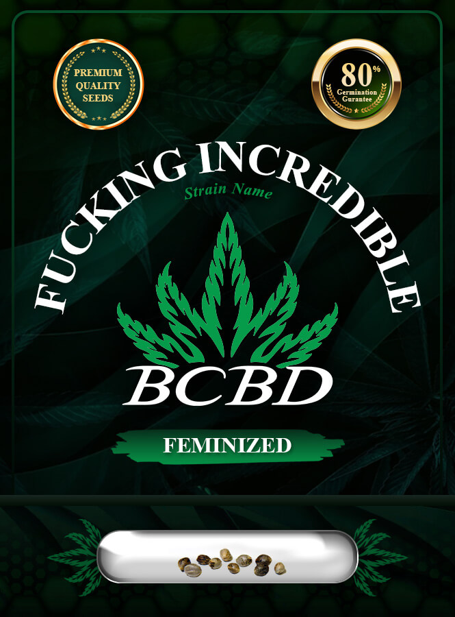 Fucking Incredible Strain Feminized Marijuana Seeds