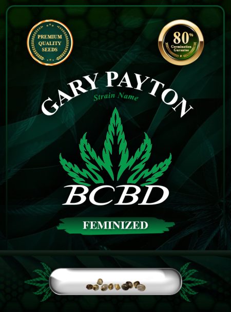Gary Payton Strain Feminized