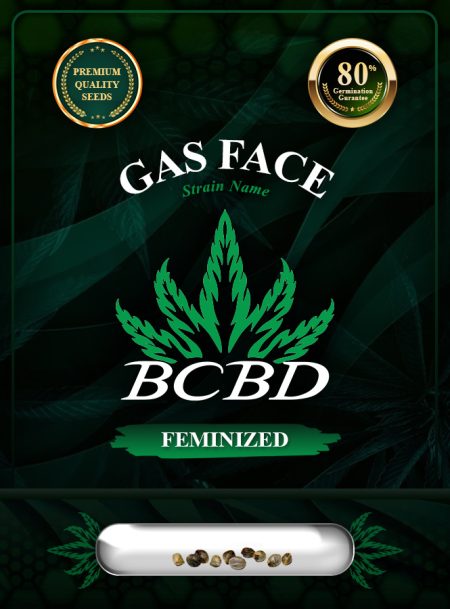 Gas Face Strain Feminized