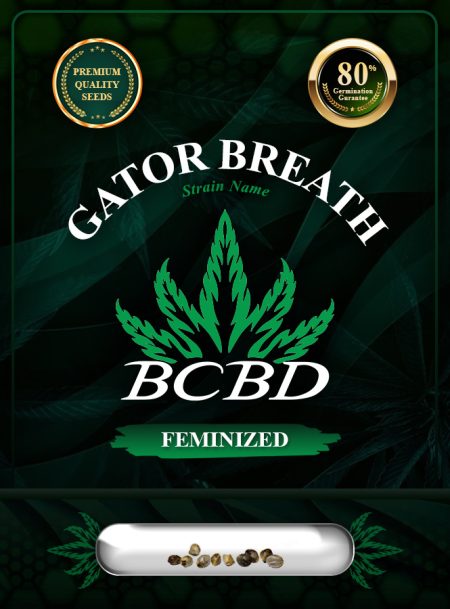 Gator Breath Strain Feminized