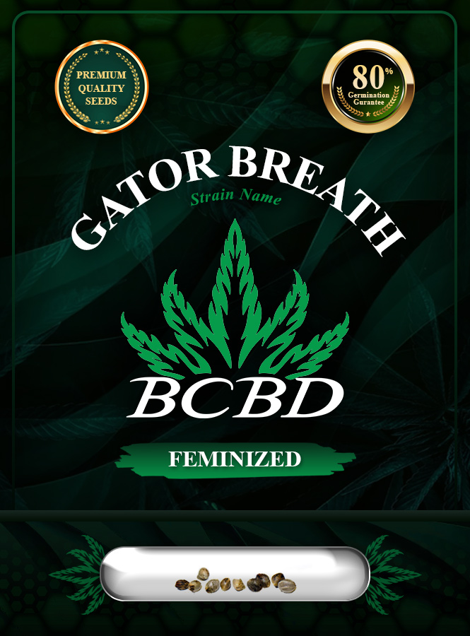 Gator Breath Strain Feminized Marijuana Seeds