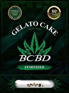 Gelato Cake Strain Feminized