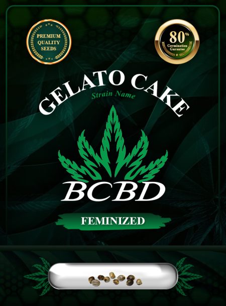 Gelato Cake Strain Feminized