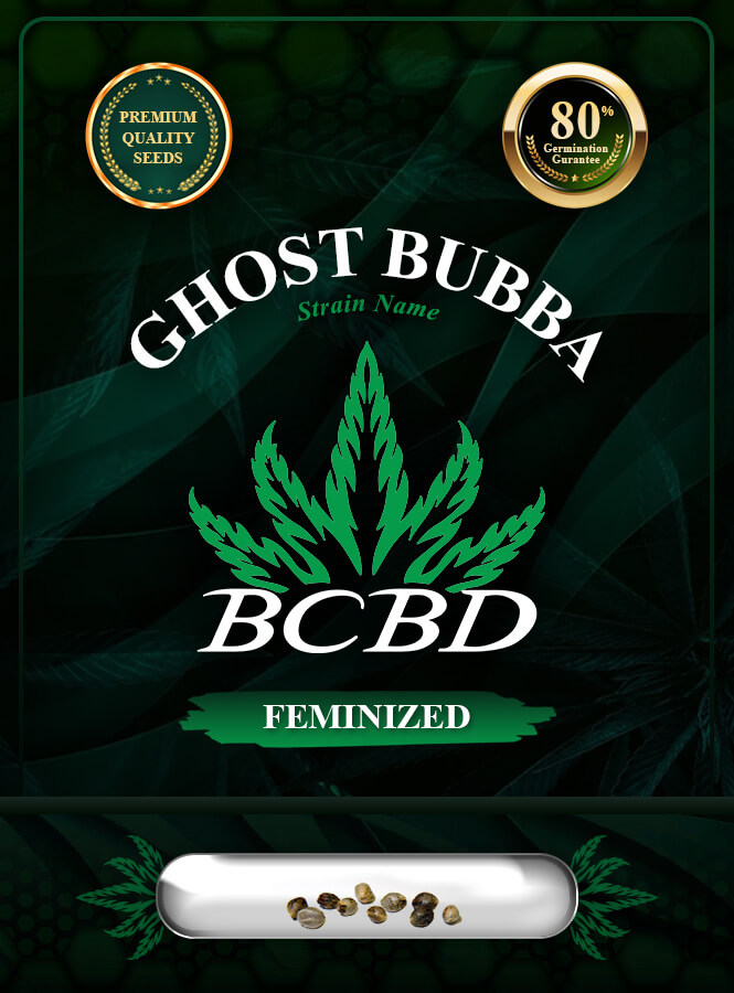 Ghost Bubba Strain Feminized Marijuana Seeds