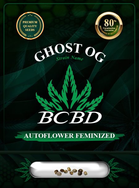 Ghost OG Strain Autoflowering