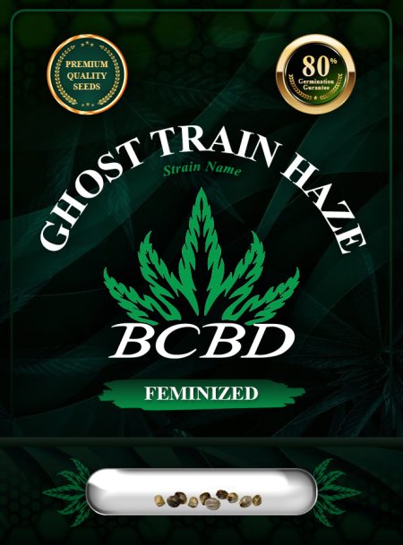 Ghost Train Haze Strain Feminized