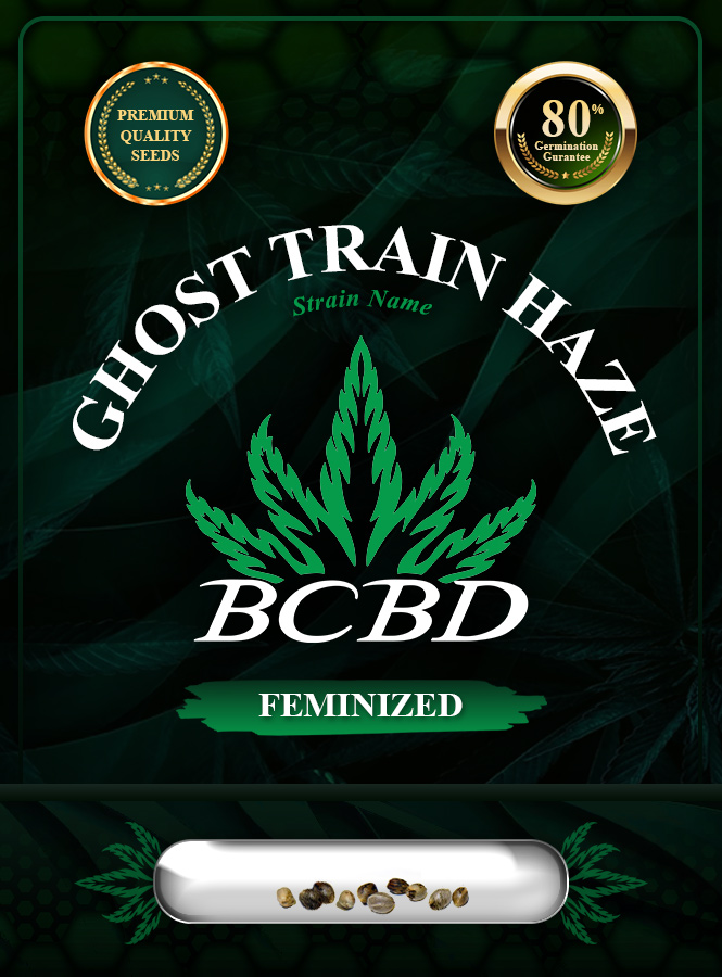 Ghost Train Haze Strain Feminized Marijuana Seeds
