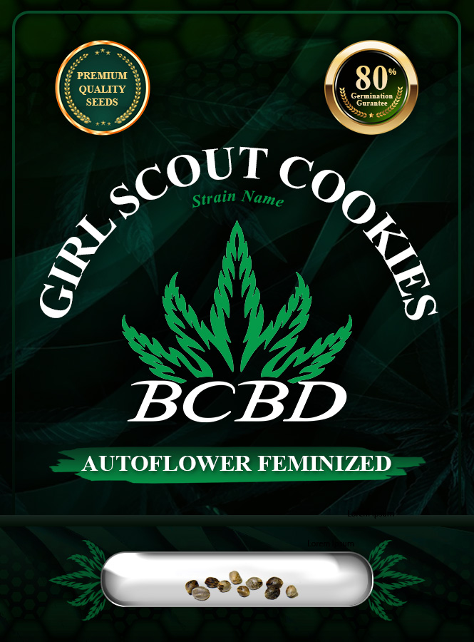 Girl Scout Cookies Strain Autoflowering Marijuana Seeds