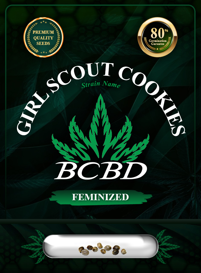 Girl Scout Cookies Strain Feminized Marijuana Seeds