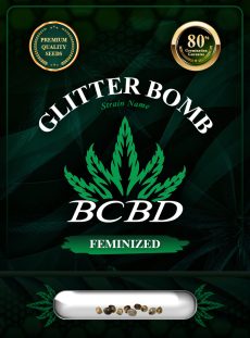 Glitter Bomb Strain Feminized
