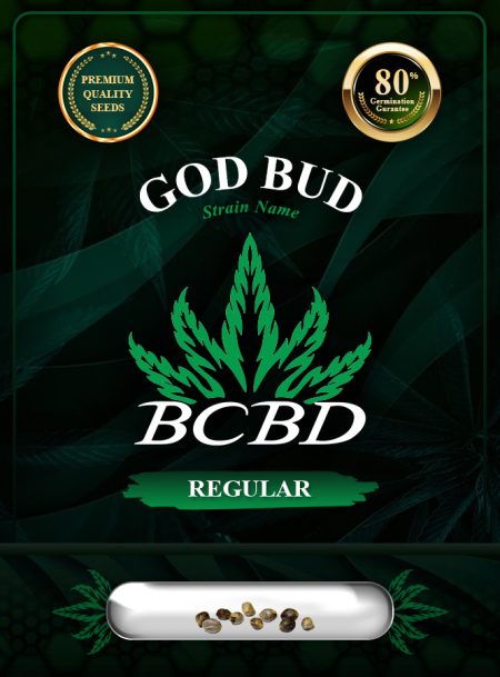 God Bud Strain Regular
