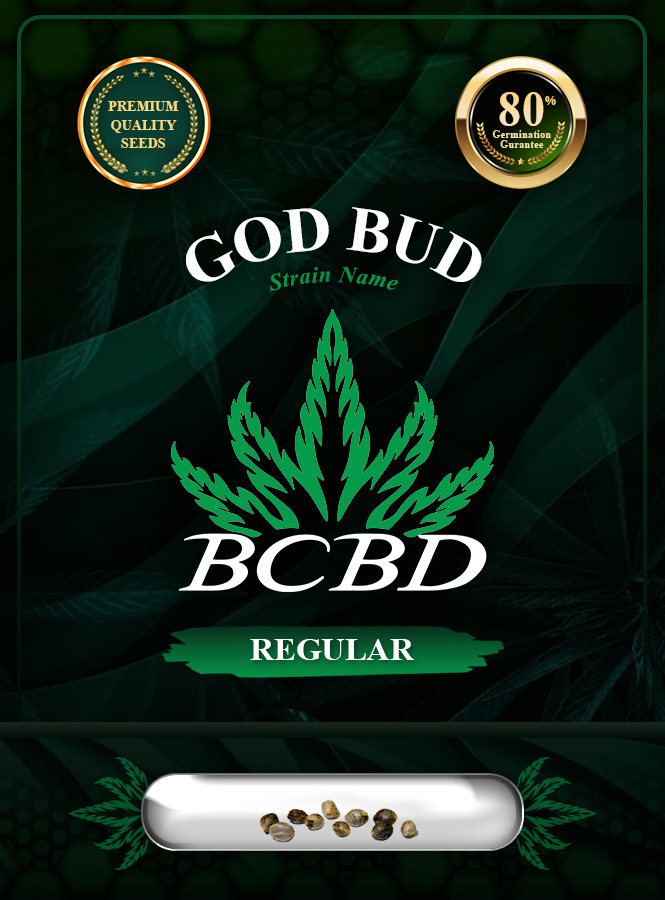 God Bud Strain Regular Marijuana Seeds