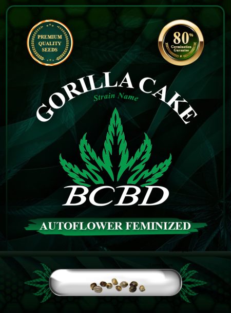 Gorilla Cake Strain Autoflowering