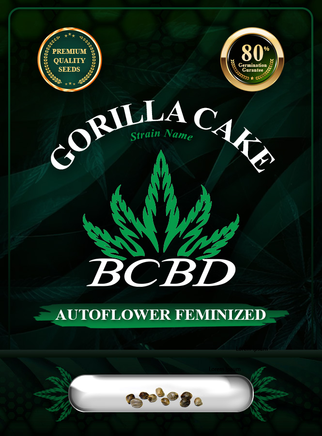 Gorilla Cake Strain Autoflowering Marijuana Seeds