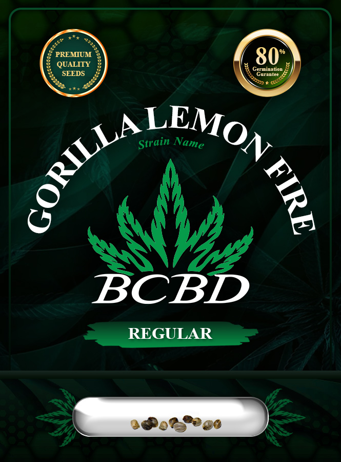 Gorilla Lemon Fire Strain Regular Marijuana Seeds