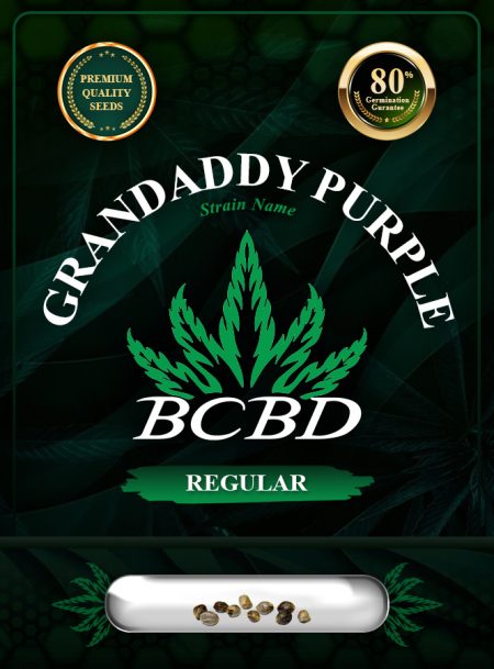 Grandaddy Purple Strain Regular