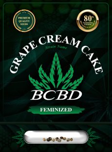 Grape Cream Cake Strain Feminized