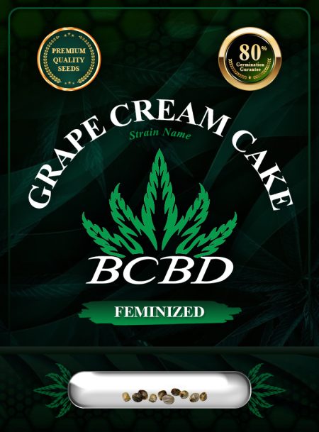 Grape Cream Cake Strain Feminized