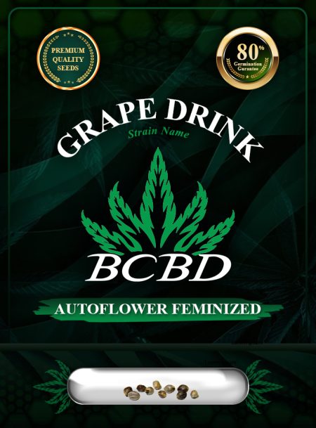 Grape Drink Strain Autoflowering