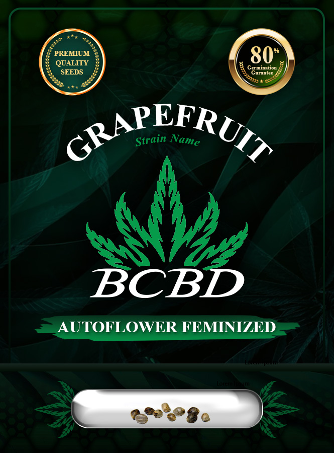 Grapefruit Strain Autoflowering Marijuana Seeds