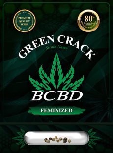 Green Crack Strain Feminized