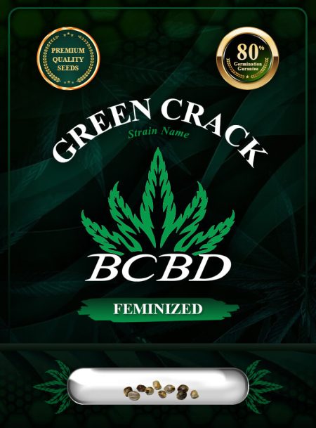 Green Crack Strain Feminized