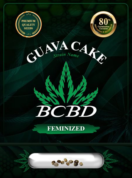Guava Cake Strain Feminized