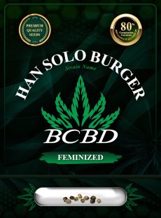 Han Solo Burger Strain Feminized
