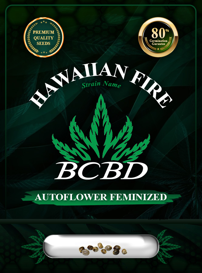 Hawaiian Fire Strain Autoflowering Marijuana Seeds