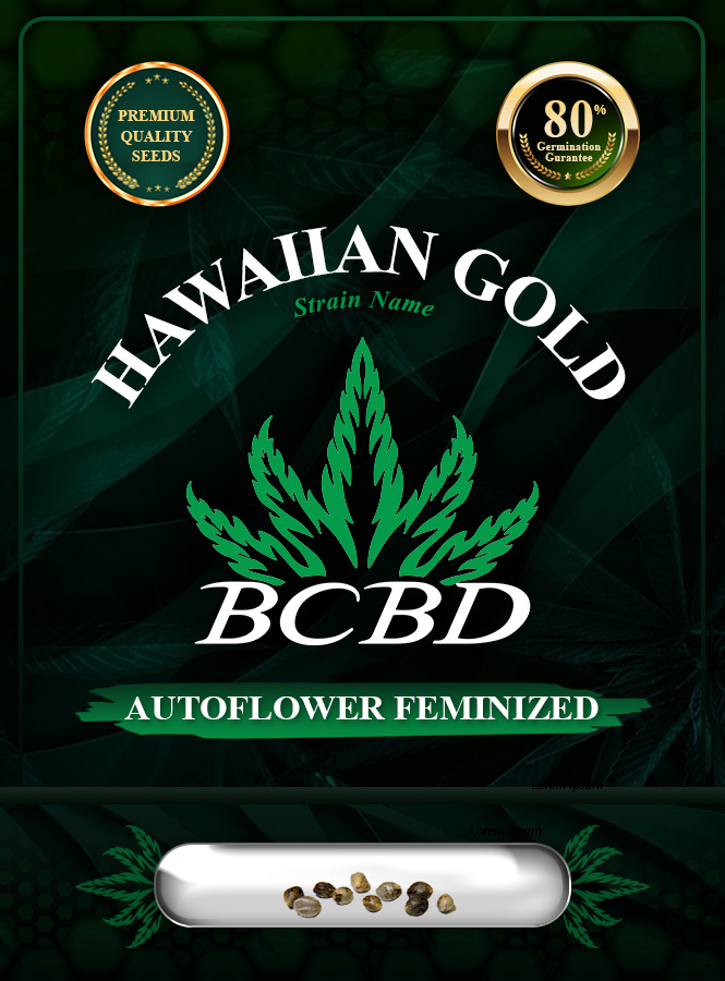 Hawaiian Gold Strain Autoflowering Marijuana Seeds