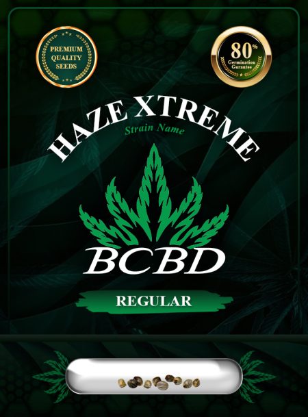 Haze Xtreme Regular