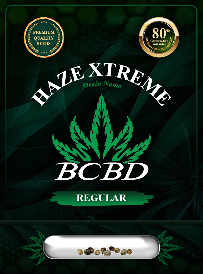 Haze Xtreme Regular Marijuana Seeds