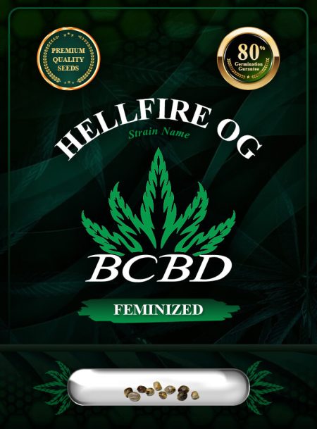 Hellfire OG Strain Feminized