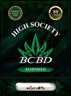 High Society Strain Feminized