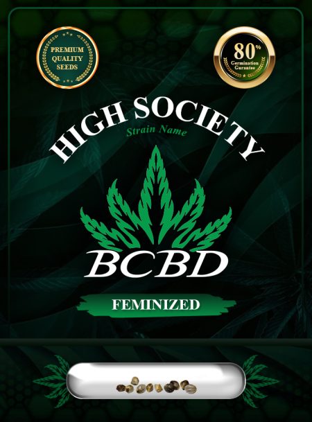 High Society Strain Feminized