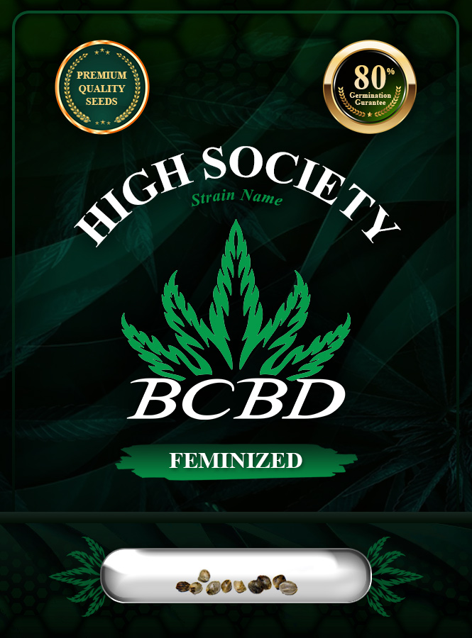High Society Strain Feminized Marijuana Seeds