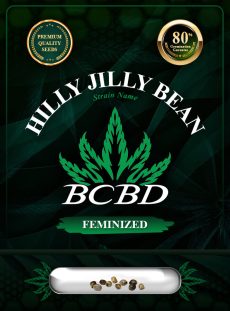 Hilly Billy Jean Strain Feminized