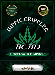 Hippie Crippler Strain Autoflowering