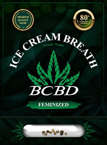 Ice Cream Breath Strain Feminized