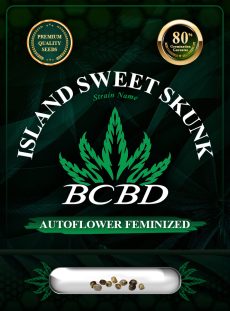 Island Sweet Skunk Strain Autoflowering