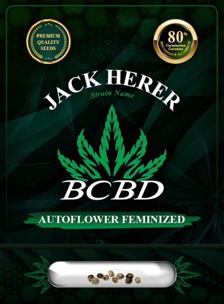 Jack Herer Strain Autoflowering