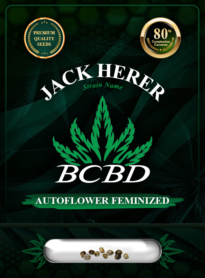 Jack Herer Strain Autoflowering Marijuana Seeds