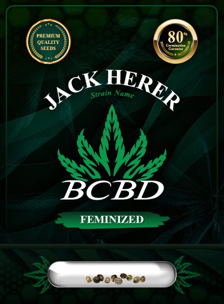 Jack Herer Strain Feminized Marijuana Seeds